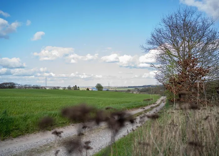 Bjerrebo Idyl - Romalt Bakker